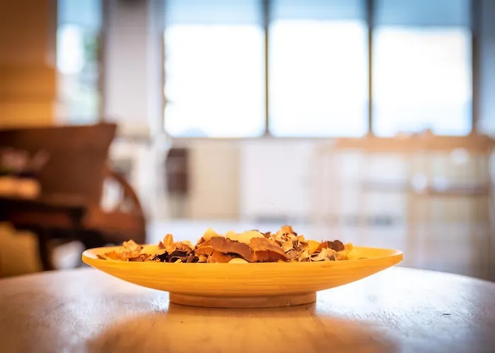 Bed and Breakfast Belvedere