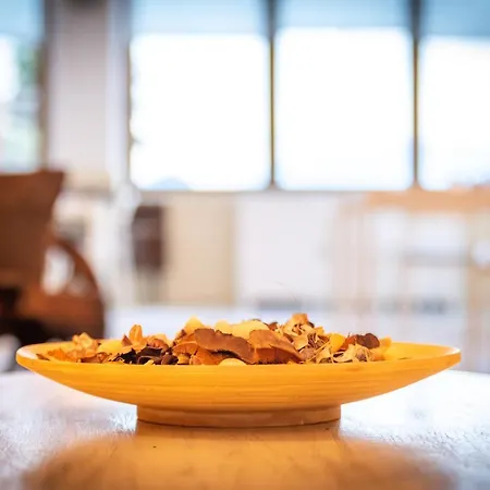 Alojamento de Acomodação e Pequeno-almoço Belvedere